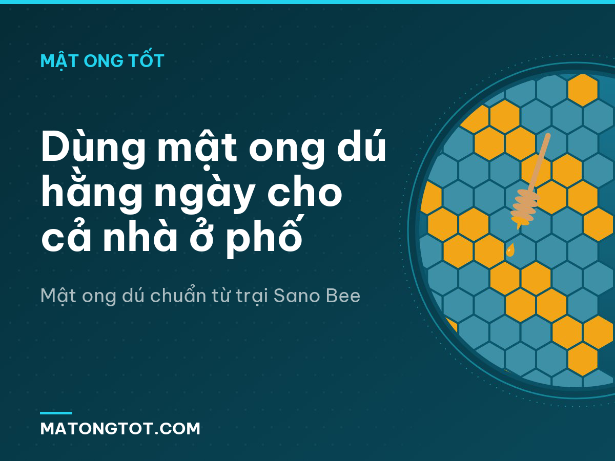 Dùng mật ong dú hằng ngày cho cả nhà ở phố