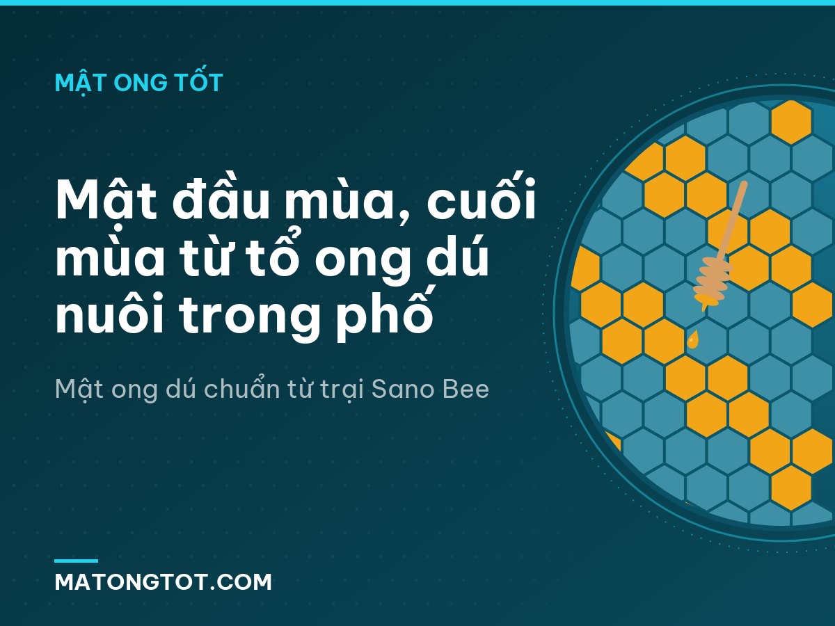 Mật đầu mùa, cuối mùa từ tổ ong dú nuôi trong phố