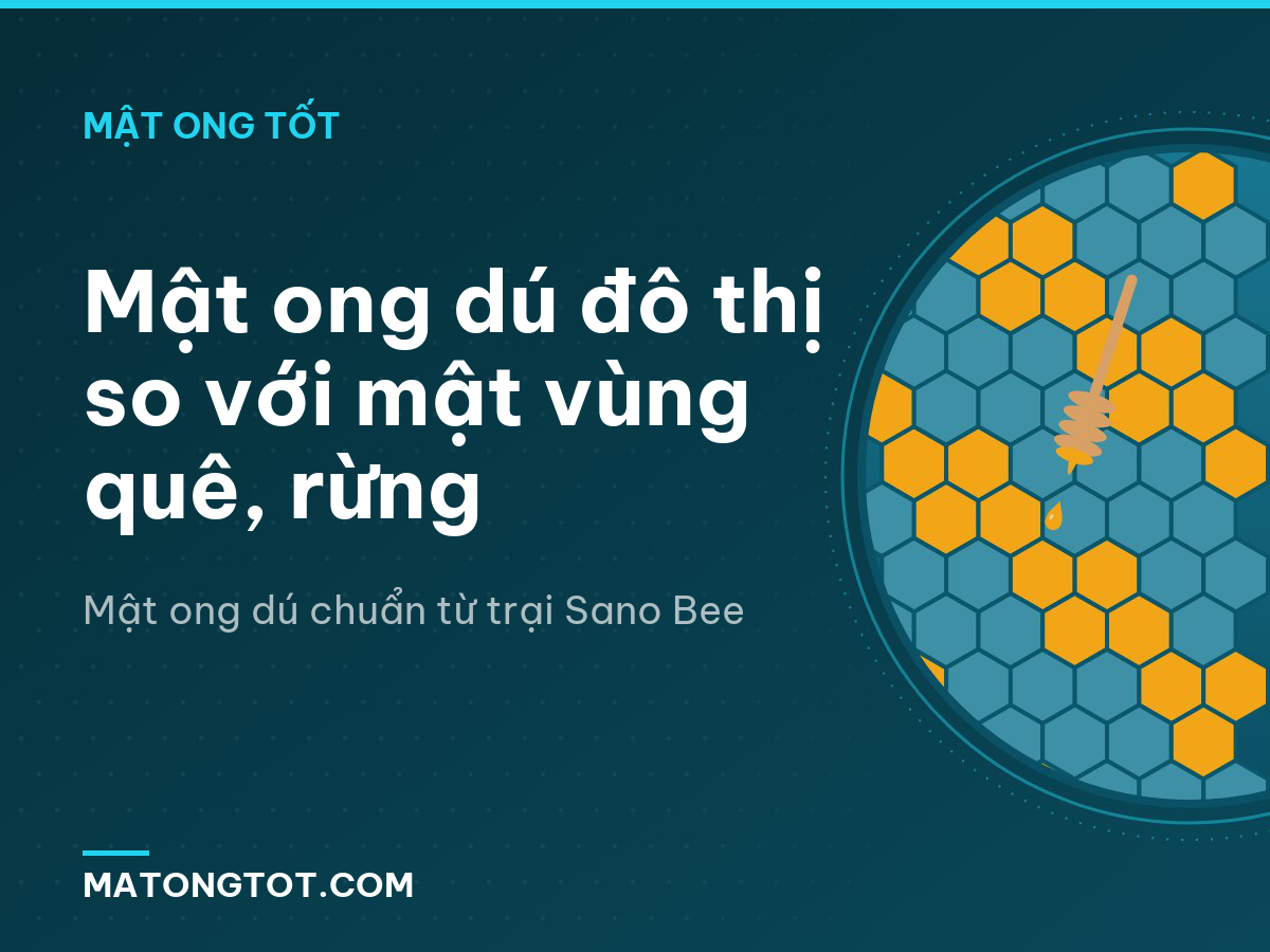 Mật ong dú đô thị so với mật vùng quê, rừng