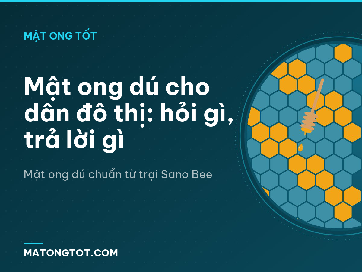 Mật ong dú cho dân đô thị: hỏi gì, trả lời gì