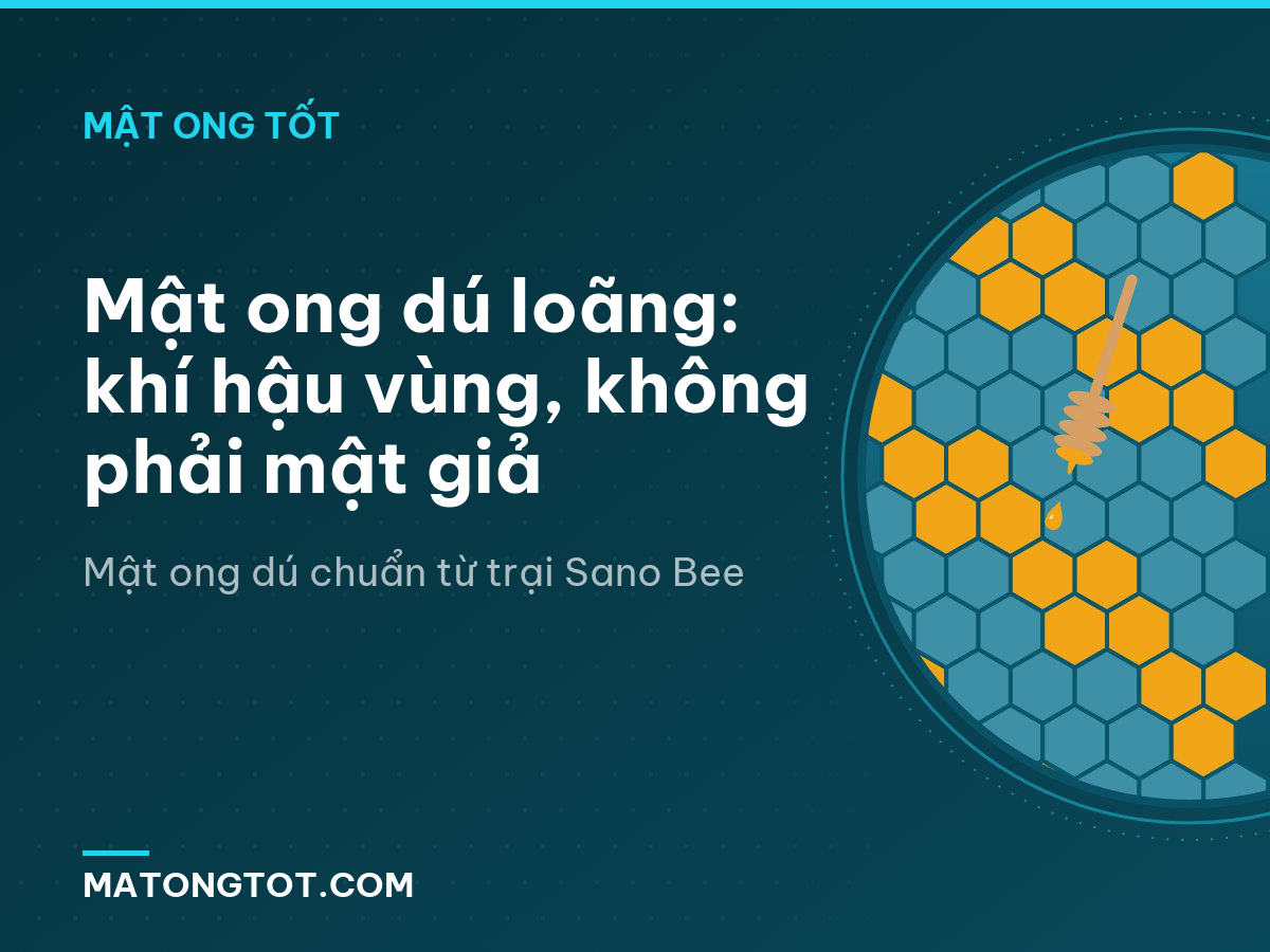 Mật ong dú loãng: khí hậu vùng, không phải mật giả