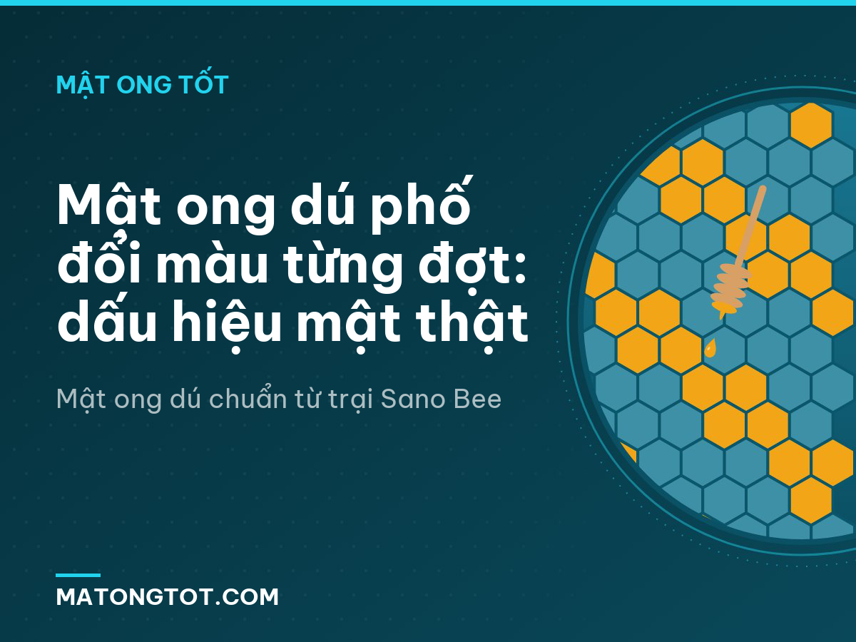 Mật ong dú phố đổi màu từng đợt: dấu hiệu mật thật