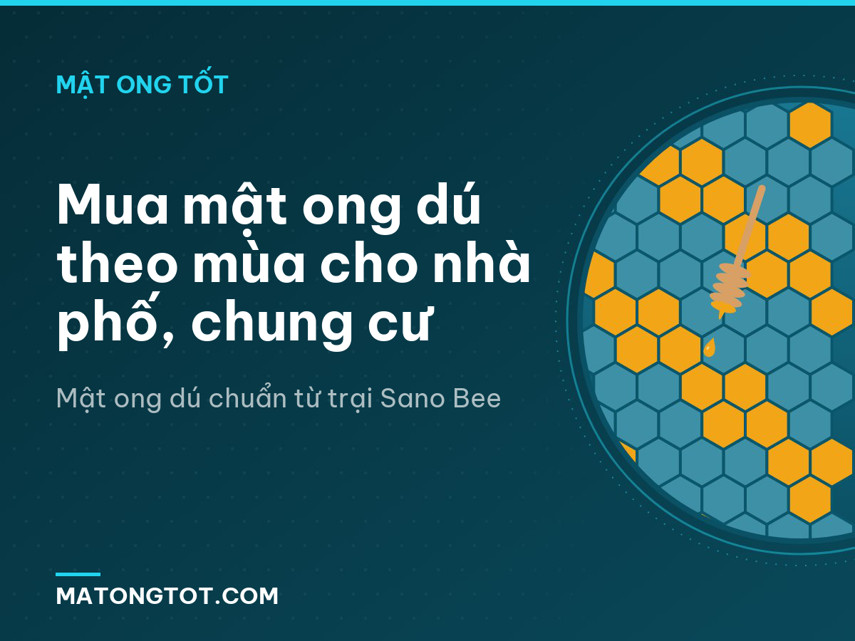 Mua mật ong dú theo mùa cho nhà phố, chung cư