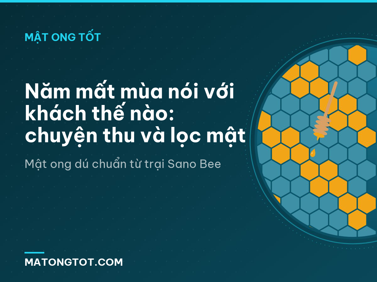 Năm mất mùa nói với khách thế nào: chuyện thu và lọc mật