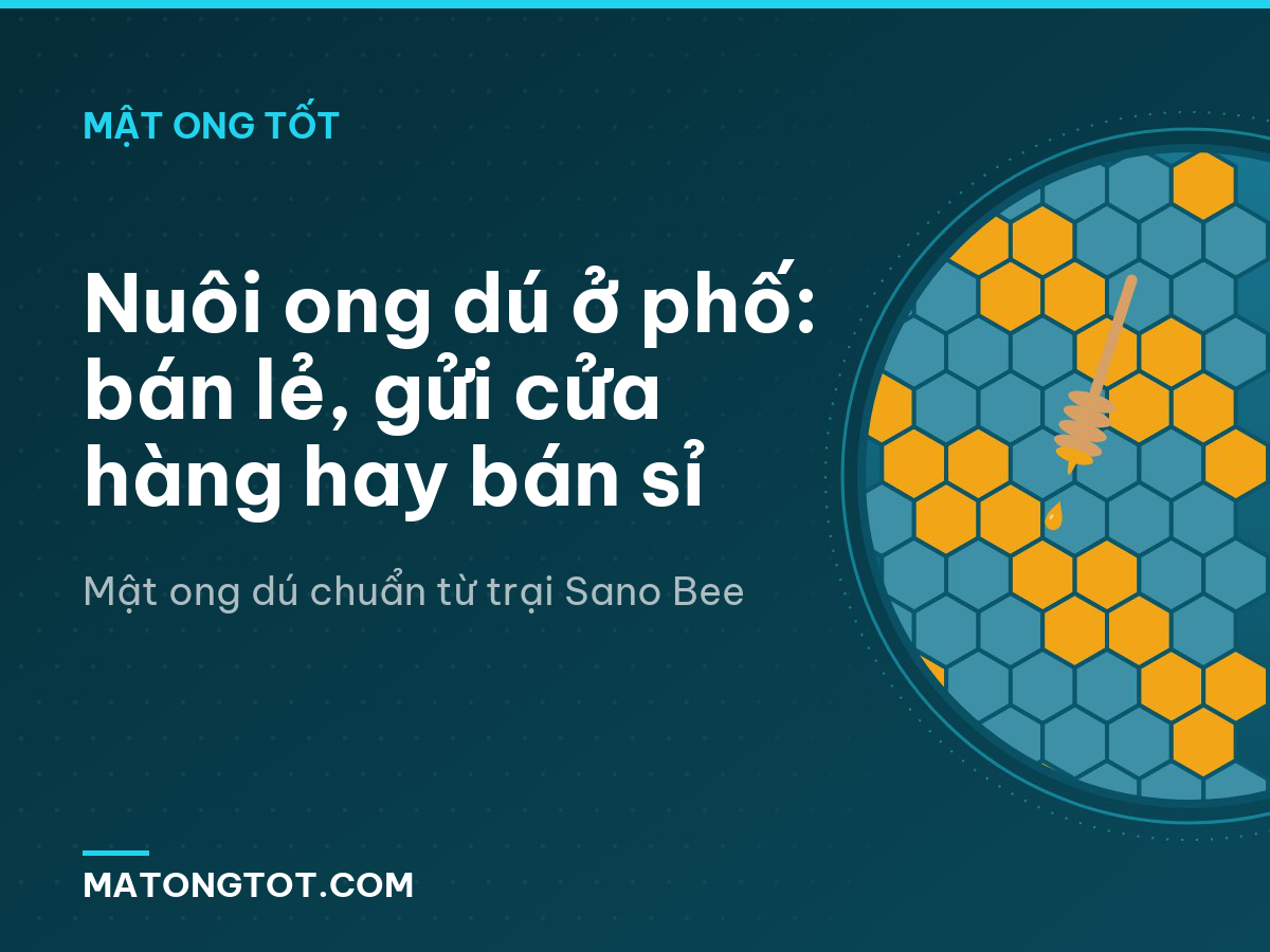 Nuôi ong dú ở phố: bán lẻ, gửi cửa hàng hay bán sỉ