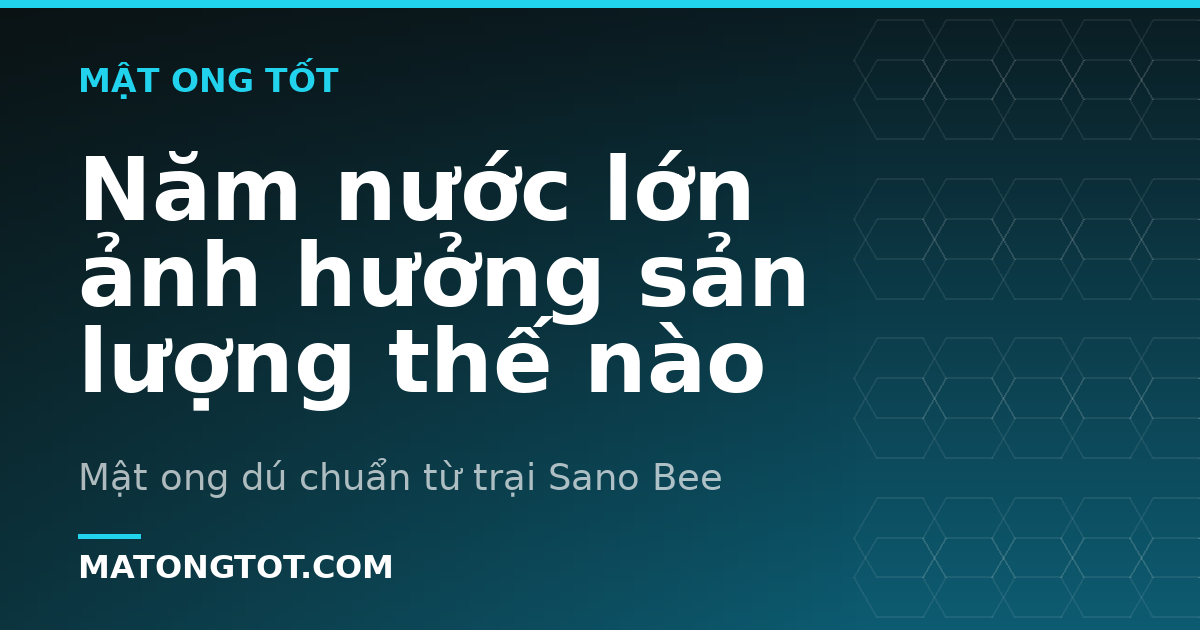 Năm nước lớn ảnh hưởng sản lượng thế nào